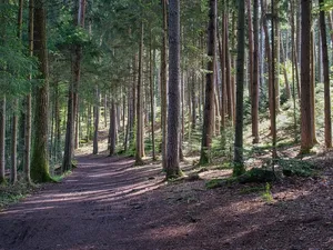 Liczne szlaki rowerowe