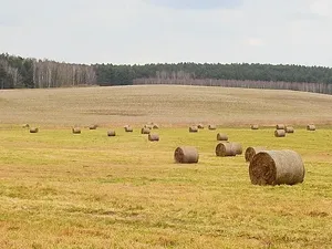 Dolina Różanecka